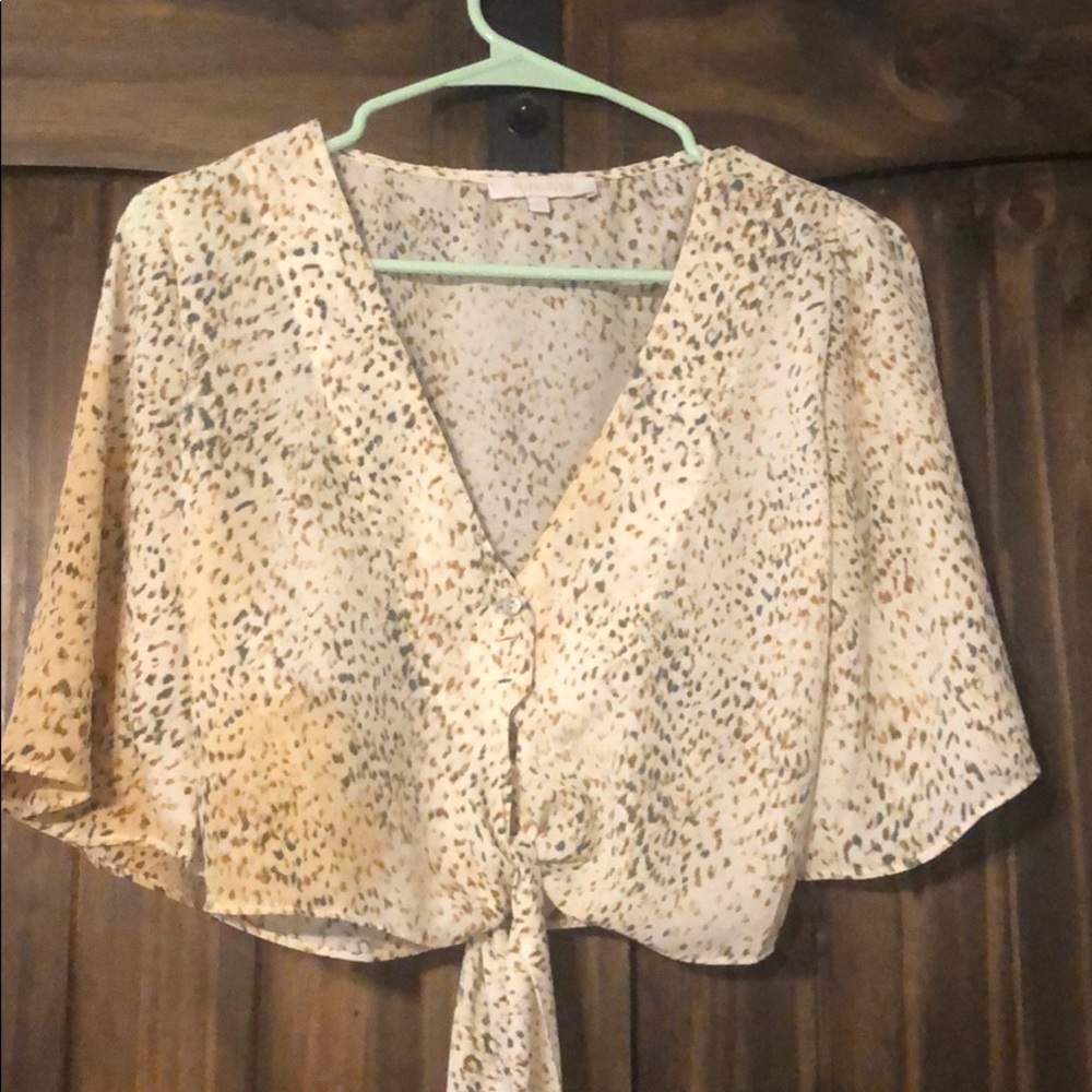 Boutique brand Crop Top